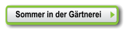Sommer in der Gärtnerei